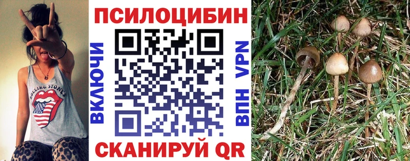 Галлюциногенные грибы мухоморы  МЕГА как зайти  Ардатов  купить наркотик 